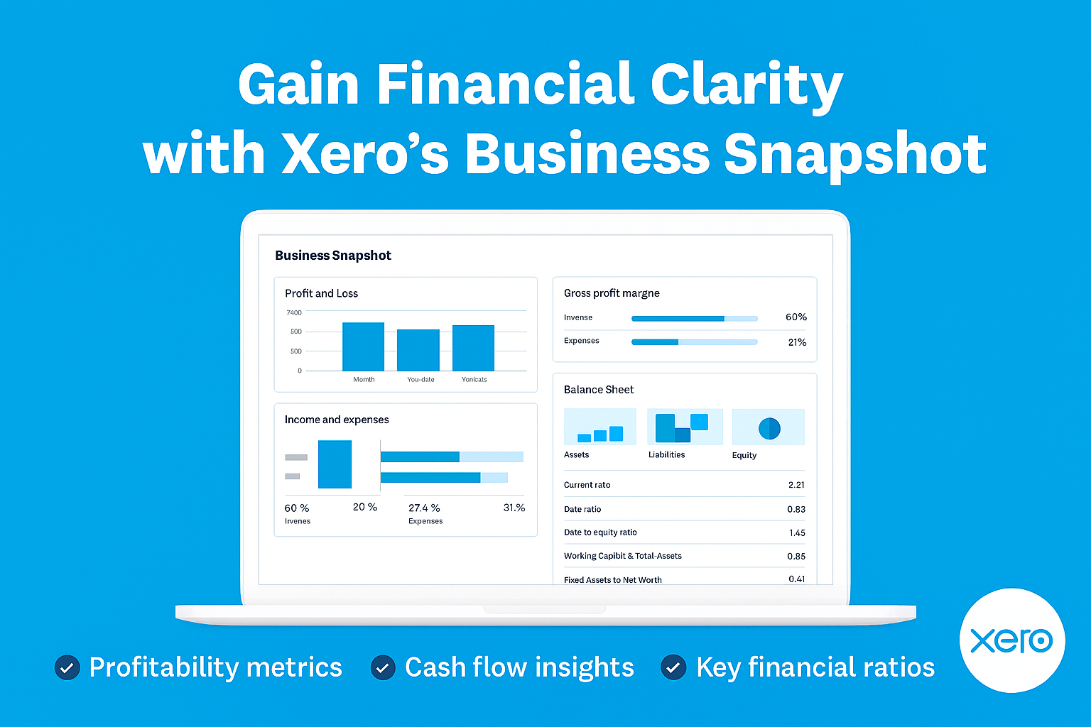 xero business snapshot